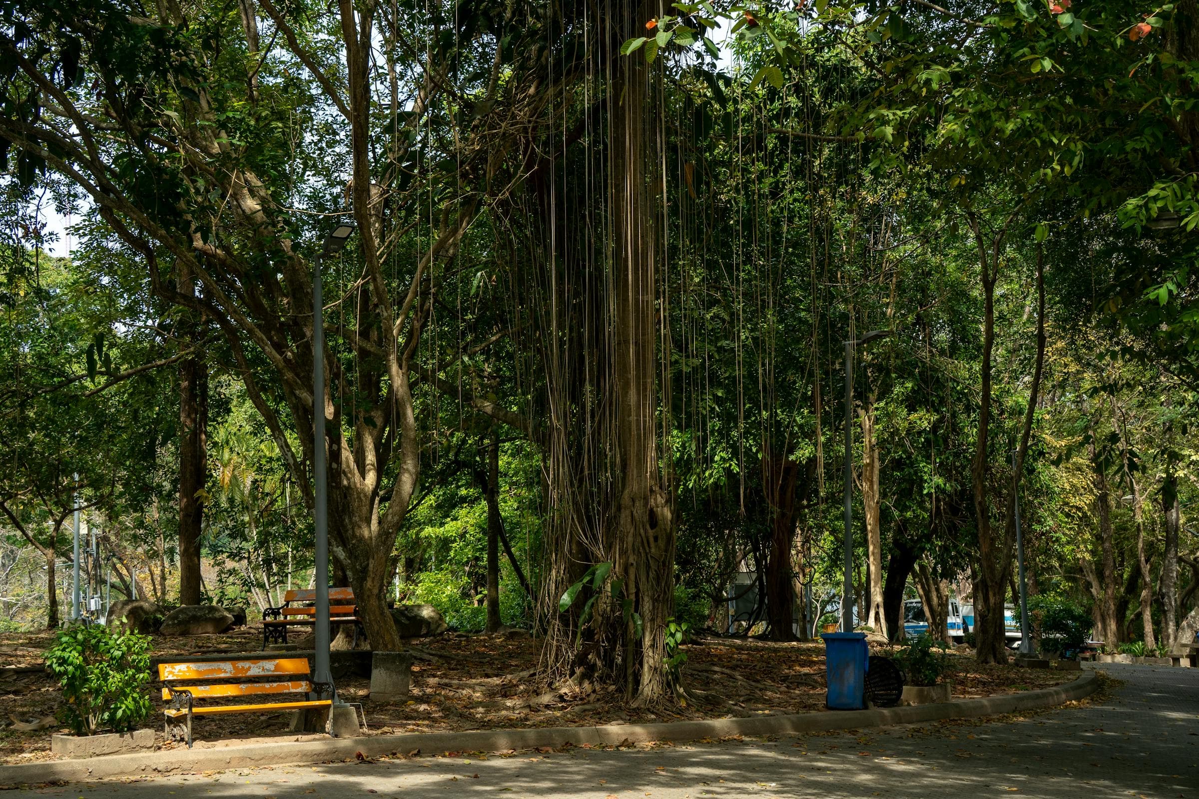 Mai Khao — Thalang